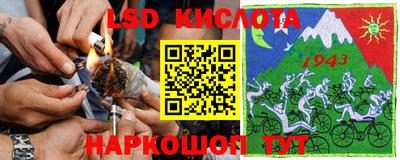 Альфа ПВП Гусев