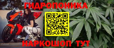Альфа ПВП Гусев