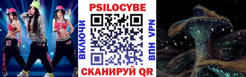 наркота  Йошкар-Ола  Псилоцибиновые грибы Cubensis 